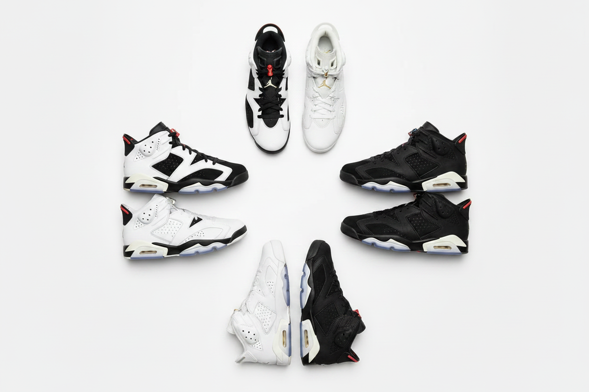 Air Jordan 6